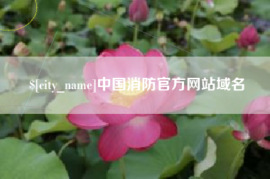 沛县中国消防官方网站域名