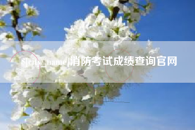 沛县消防考试成绩查询官网