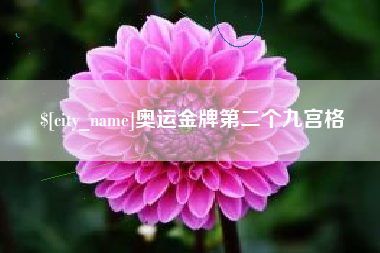 沛县奥运金牌第二个九宫格