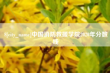 沛县中国消防救援学院2020年分数线