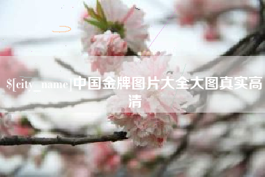 沛县中国金牌图片大全大图真实高清