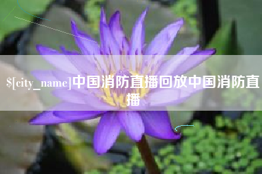 沛县中国消防直播回放中国消防直播