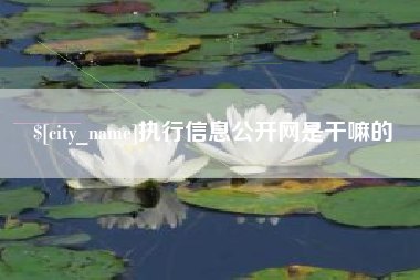 沛县执行信息公开网是干嘛的
