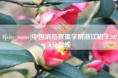 沛县中国消防救援学院浙江招生2020分数线