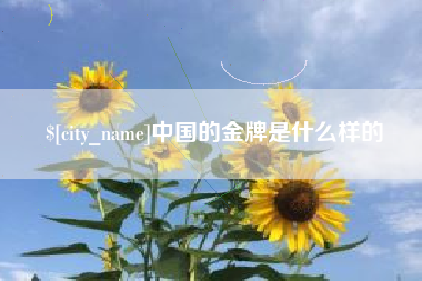 沛县中国的金牌是什么样的
