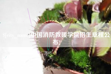 沛县中国消防救援学院招生章程公布!