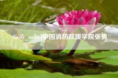 沛县中国消防救援学院张勇
