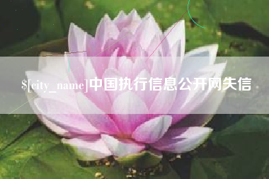 沛县中国执行信息公开网失信
