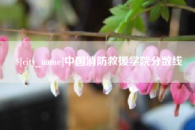沛县中国消防救援学院分数线