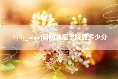 沛县消防救援学院要多少分