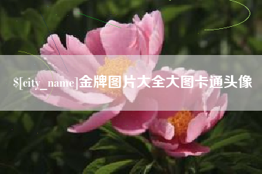 沛县金牌图片大全大图卡通头像