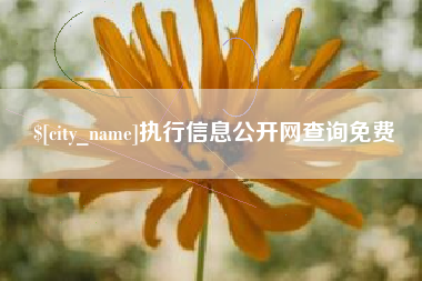 沛县执行信息公开网查询免费