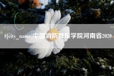 沛县中国消防救援学院河南省2020